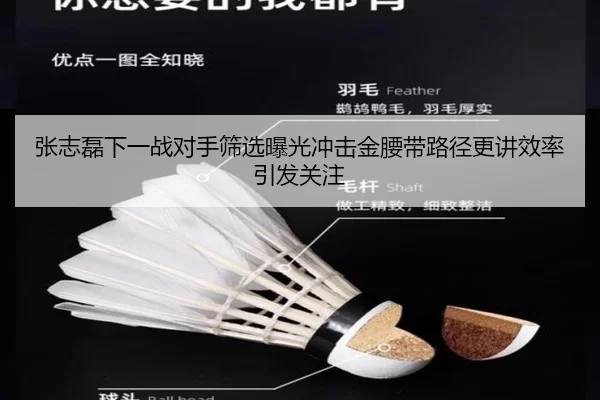 张志磊下一战对手筛选曝光冲击金腰带路径更讲效率引发关注